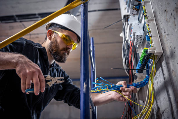 Best 24-Hour Electrician  in Assumption, IL